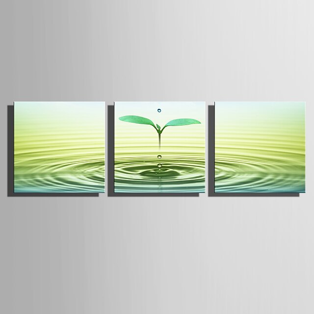  Stretched Canvas Print Art Botanical Sprout Set of 3