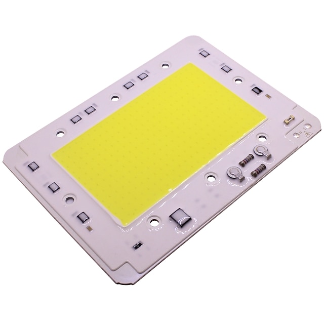  100w høj effekt cob led chip pære 220v input smart ic til diy udendørs oversvømmelse lys spotlight kold varm hvid (1 stk)