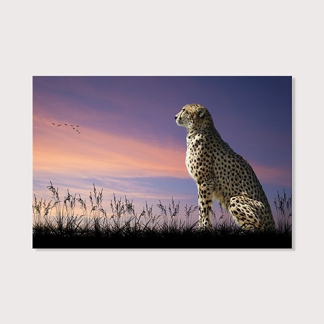  Print Stretched Canvas Prints - Animals Photographic Modern Art Prints