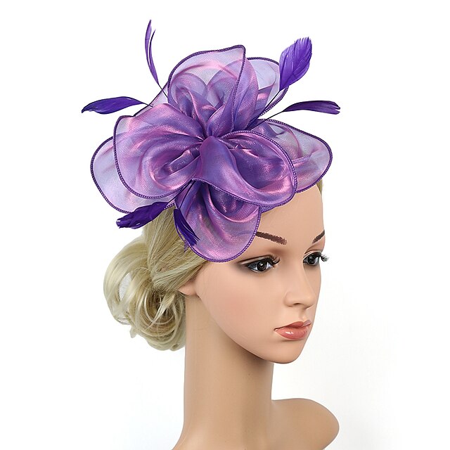 Fascinators Headpiece Tulle Tea Party Horse Race Ladies Day Elegant ...