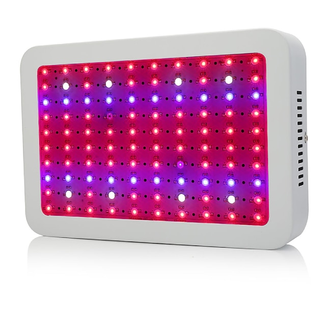  10000 lm 100 Contas LED Instalação Fácil Luminária crescente Branco Natural Vermelho Azul 85-265 V Contemporâneo Moderno