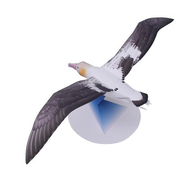  Παζλ 3D Χάρτινο μοντέλο Kit de Construit Πουλί Αετός Ζώα Φτιάξτο Μόνος Σου Προσομοίωση Hard Card Paper Κλασσικό Παιδικά Γιούνισεξ Αγορίστικα Παιχνίδια Δώρο