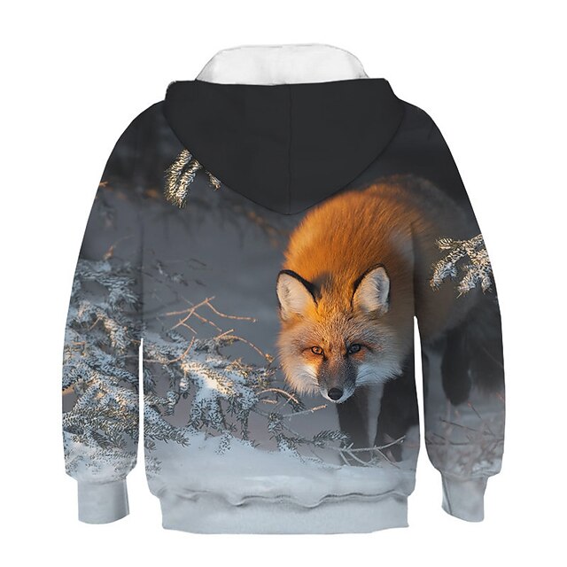 Baby & Kids Boys Clothing | Kids Boys Hoodie & Sweatshirt Long Sleeve Rainbow 3D Print Print 3D Fox Animal Print Active Streetwe