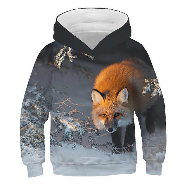 Baby & Kids Boys Clothing | Kids Boys Hoodie & Sweatshirt Long Sleeve Rainbow 3D Print Print 3D Fox Animal Print Active Streetwe