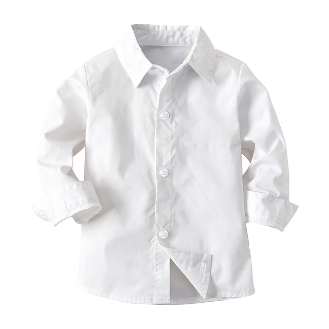  Children's Day Boys 3D Solid Colored T shirt Shirt Long Sleeve Summer Streetwear Basic Cotton Polyester Kids Toddler School