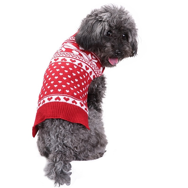 Hund Katt Tröjor Snöflinga Jul Minimalistisk Stil Vinter 