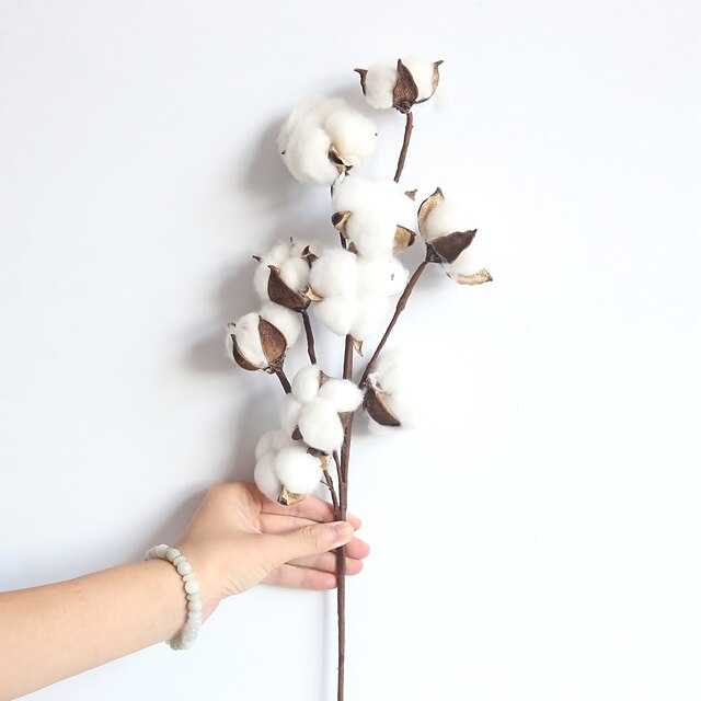  1 Branch Natural Dry Cotton Branch Home Decor Living Room Creative Display Artificial Flowers