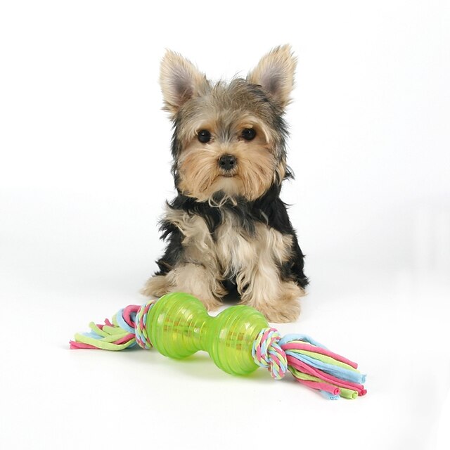  צעצועי לעיסה צעצוע לניקוי שיניים צעצוע לכלב חבל גוּמִי מתנות חיות מחמד צעצועים
