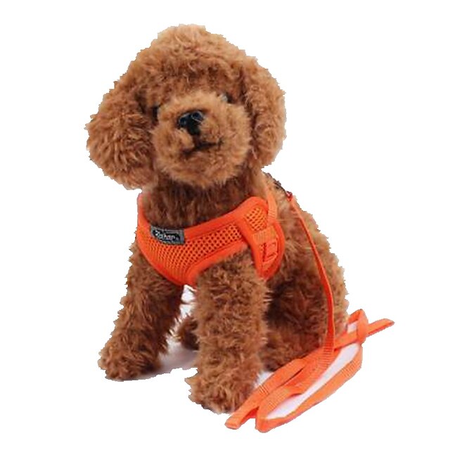 teacup poodle harness