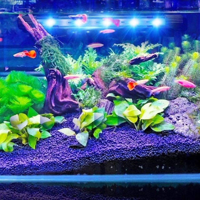  Aquarium Light LED Light Fish Tank Light White Durable Plastic 1.5 W / #