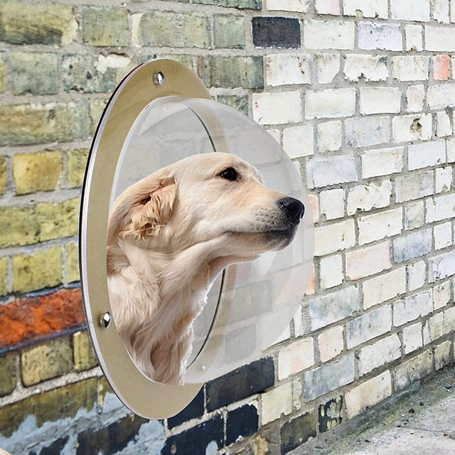 dog window barrier