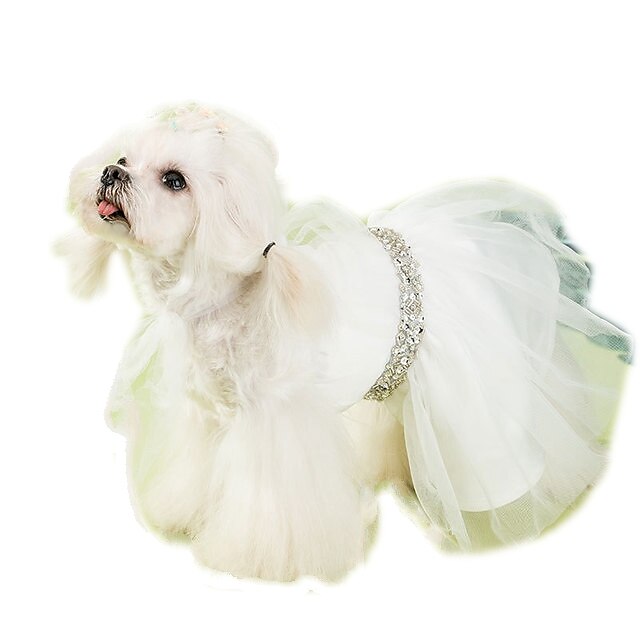 Hond Jurken Bruiloft Hondenkleding Puppy kleding Hondenoutfits Kostuum and Boy Dog Textiel Binnenwerk XS S M L XL XXL 513250 2023 – $64.99