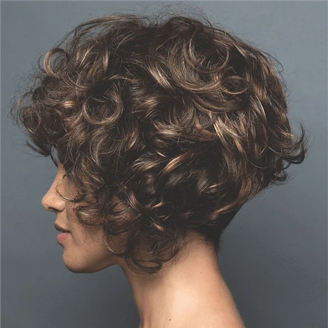  Brown Wigs for Women Heat Resistant Synthetic Wig Curly Wig Short Wigs Comfy Party Daily Wigs