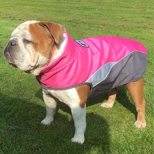 Foreyy Dog Jacket With Waterproof Outer Layer And Warm Fleece Inner