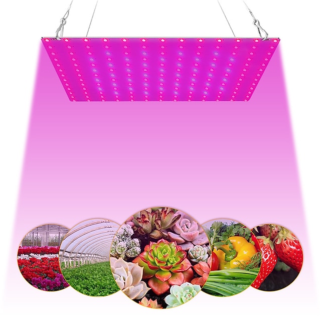  1 szt. 81 diod LED 169 diod LED do uprawy w pomieszczeniach lampa do uprawy roślin czerwony niebieski pełne spektrum do uprawy hydroponicznej w pomieszczeniach