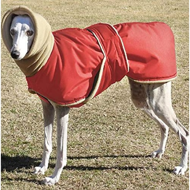  cappotto invernale per cani, giacca per cani antivento addensare cani gilet vestiti con colletto caldo vestiti con cappuccio per cani per cani di piccola taglia media orsacchiotto golden retriever