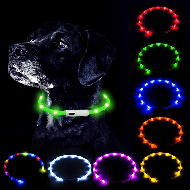 dog walk light ups collar