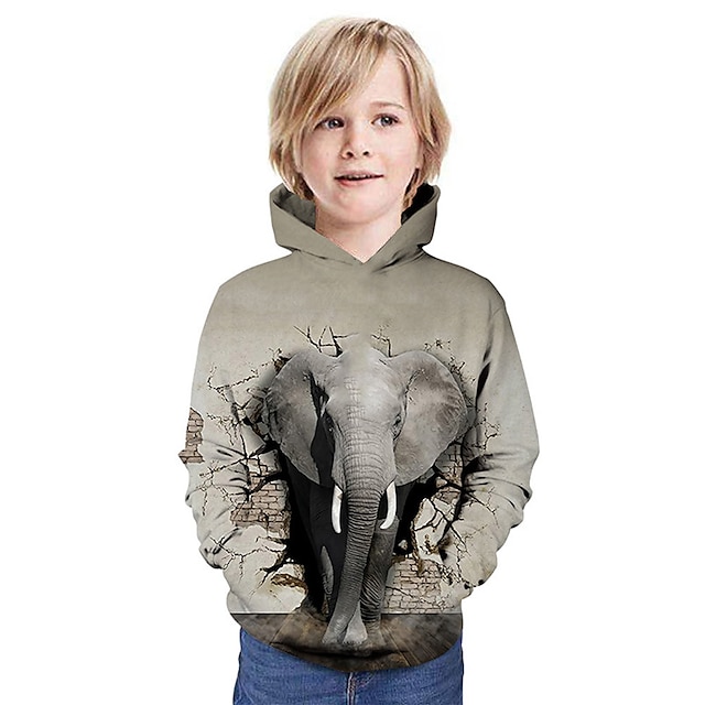  Jongens 3D Grafisch Olifant 3D Hoodie en sweatshirt Lange mouw 3D-afdrukken Actief Polyester Spandex Kinderen