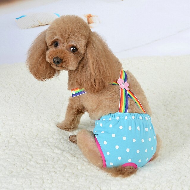  arco-íris aconchegante cachorro fêmea de estimação algodão higiênico calças fisiológicas cachorrinho roupas íntimas fraldas (rosa choque, s)