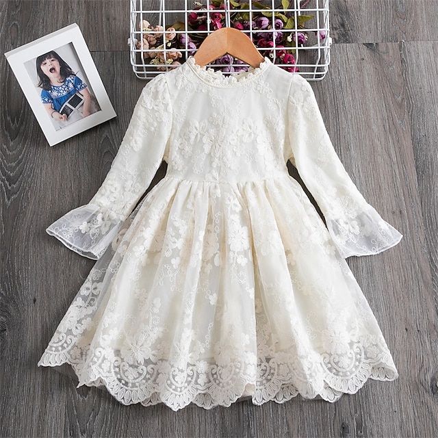  Kids Girls' Lace Embroidered Flowers Dress Solid Colored Tulle Dress Lace Blue White Knee-length Long Sleeve Cute Dresses Spring Summer Slim