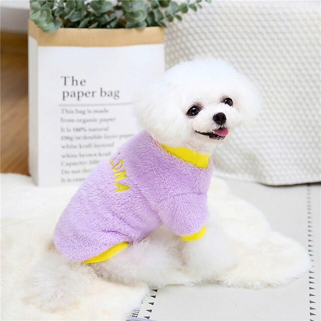 cute boy dog clothes