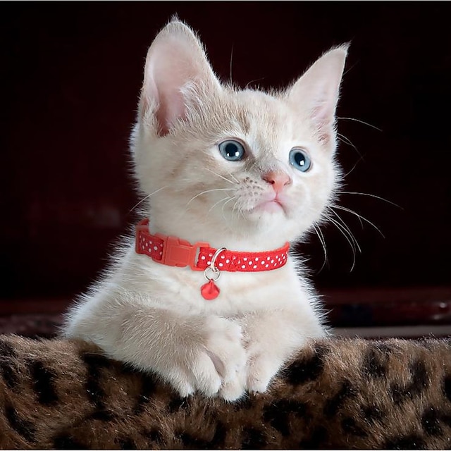 Ruipunuosi Collares de Seguridad para Gatos Ajustables Collares para Mascotas Collar de Serie Wave Point Collares con Campanas