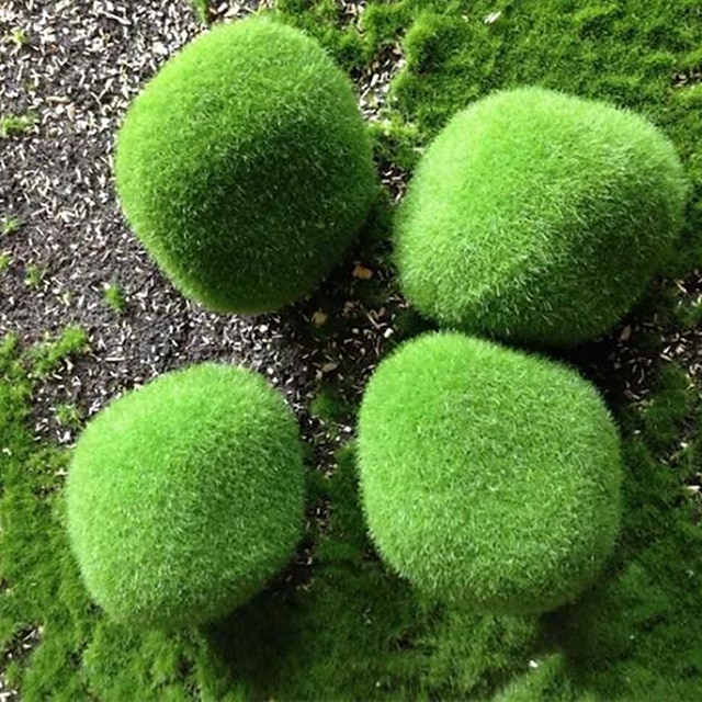 Home & Garden Home Decor | 5pcs/6pcs/8pcs/12pcs Simulation Plant Simulation Stone Green Stone Simulation Moss Stone Moss Flower 