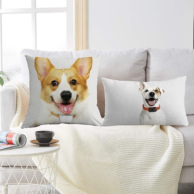 corgi pillow case