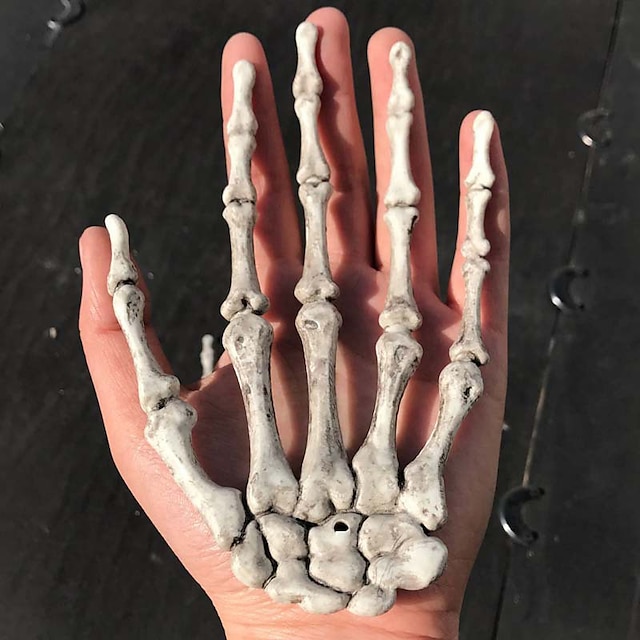 Home & Garden Home Decor | Halloween Realistic Life Size Skeleton Hands Plastic Fake Human Hand for Bone Zombie 10*15.5/12*9/10*