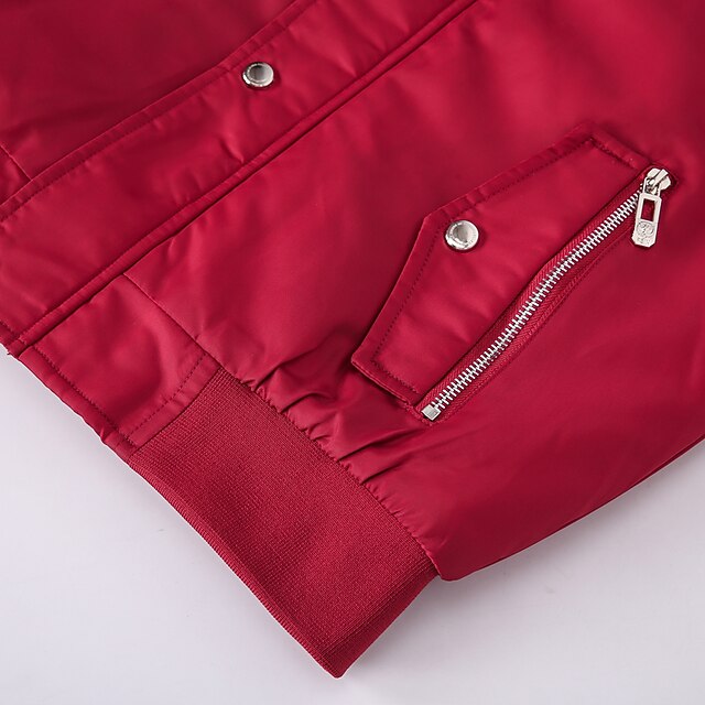 Men's Winter Coat Winter Jacket Parka Embroidered Fleece Hoodie Fur