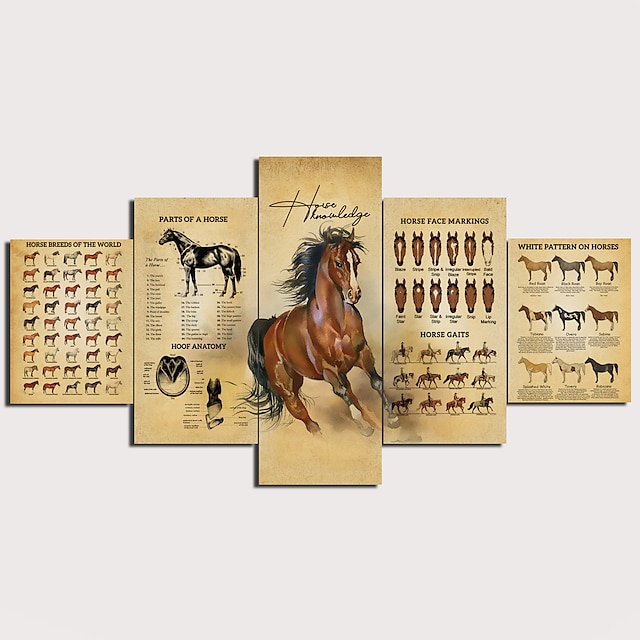  5 πάνελ τοίχου τέχνης καμβά εκτυπώσεις ζωγραφική έργα τέχνης εικόνα άλογο ζωγραφική διακόσμηση σπιτιού διακόσμηση έλασης καμβάς χωρίς πλαίσιο χωρίς πλαίσιο χωρίς τέντωμα
