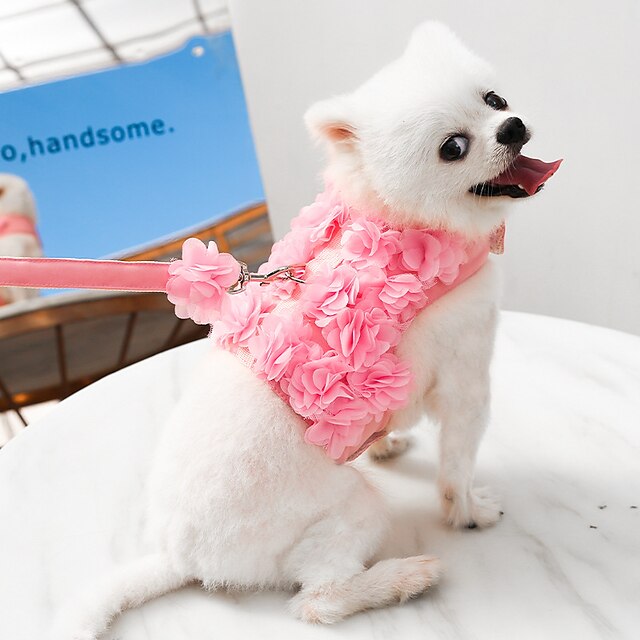  Chien Chat Harnais Laisses Le style mignon Adorable Ajustable Doux Confortable Sécurité Quotidien Casual Quotidien Vêtements pour chiens for Rauque Labrador Malamute d'Alaska Golden Retriever