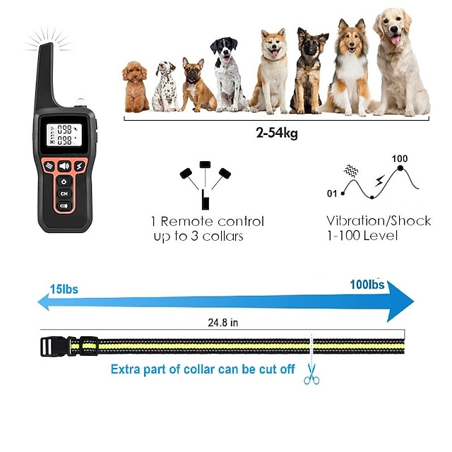 Wasserdichtes Hundehalsband Von Hamilton – Verstellbar & Leicht | Perfekt Für Strand & See