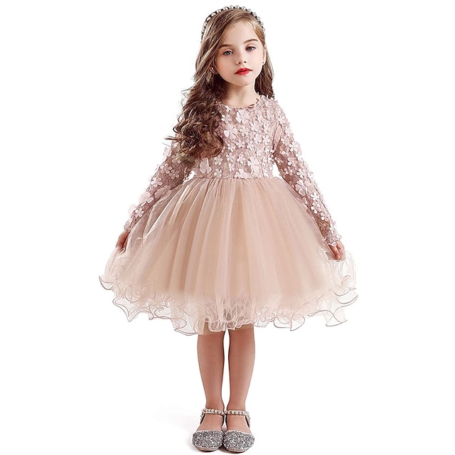  Kids Girls' Embroidered Flowers Dress Mesh Tulle Dress Casual Floral Blushing Pink Above Knee Long Sleeve Elegant Lace Princess Dresses Fall Spring 2-8 Years / Summer / Cute