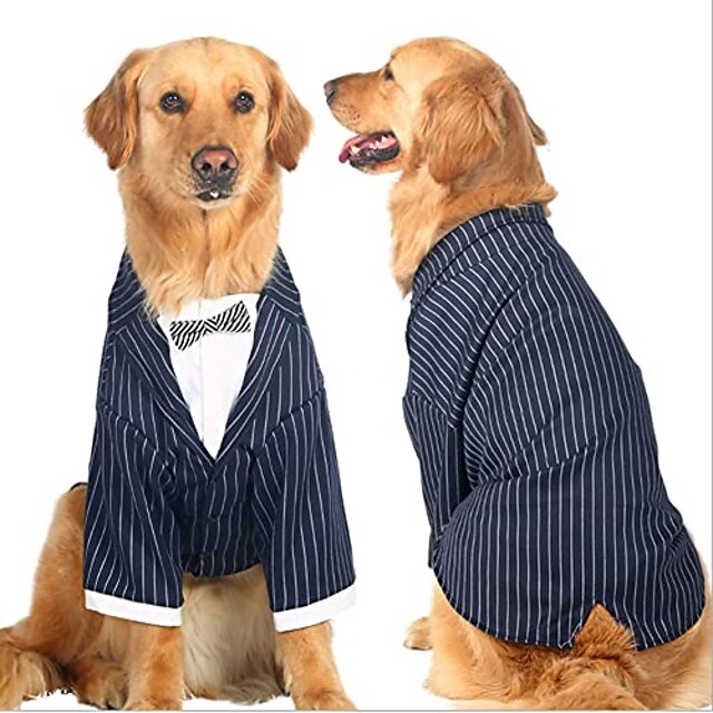 Pera Documento Relativamente traje de perro esmoquin para perros, esmoquin para perros, traje de fiesta  de bodas, camisa de