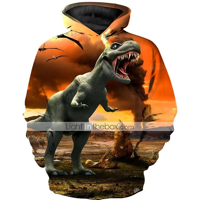 Baby & Kids Boys Clothing | Kids Toddler Boys Hoodie & Sweatshirt Long Sleeve Dinosaur Geometric 3D Animal Print Yellow Children