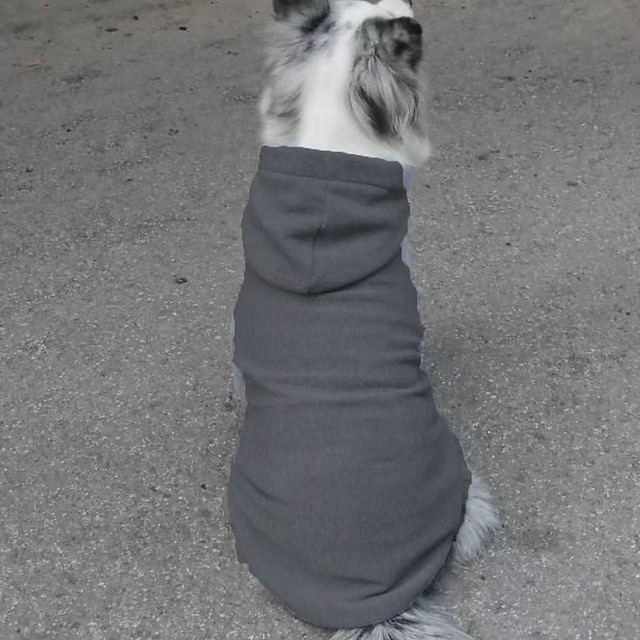  Chien Chat Pulls à capuche Élégant Mignon Adorable Respirant Doux Tenue Quotidienne Décontracté Quotidien Vêtements pour Chiens for Bouledogue Bichon Frisé Spitz Nain Petit Moyen
