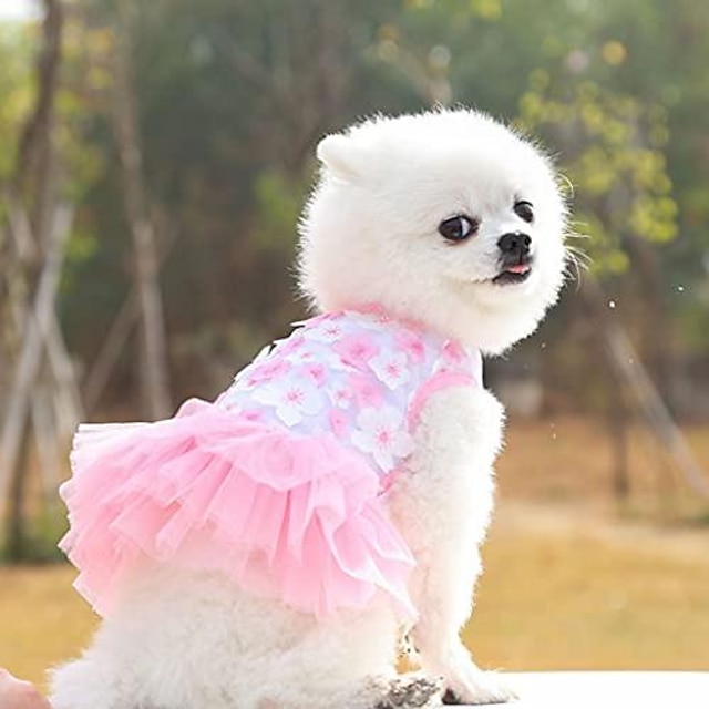  lemmikkikoiran hame kissan vaatteet kevät ja kesä lemmikkivaatteet ihastuttavat tutut koiramekot raidallinen verkko pentu koiran prinsessa mekot (pinkki, s)