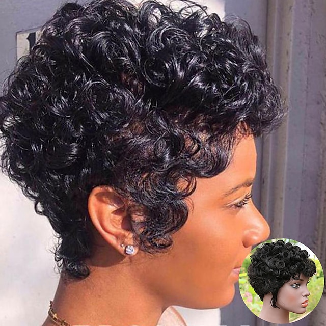 Short Human Hair Wigs Pixie Cut For Black Women Remy Curly Brazilian Summer  Brown Wig Human Hair Glueless Full Machine Made Wigs 8942052 2023 – $