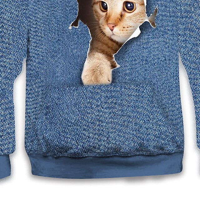 Baby & Kids Boys Clothing | Kids Boys Hoodie Long Sleeve Blue 3D Print Cat Optical Illusion Animal Pocket Daily Indoor Outdoor A