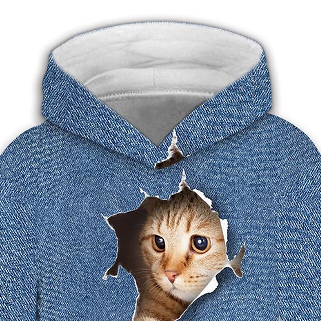 Baby & Kids Boys Clothing | Kids Boys Hoodie Long Sleeve Blue 3D Print Cat Optical Illusion Animal Pocket Daily Indoor Outdoor A