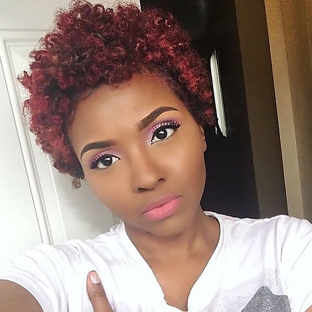 Human Hair Blend Wig Afro Curly Pixie Cut Machine Made Natural Black ...