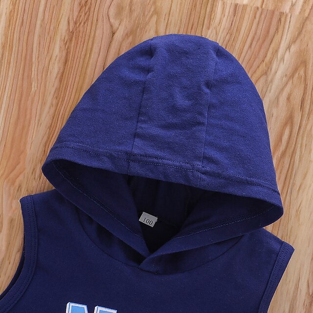 Baby & Kids Boys Clothing | Kids Boys Hoodie Sleeveless Dusty Blue Letter Indoor Outdoor Active Daily 1-5 Years - IU90894