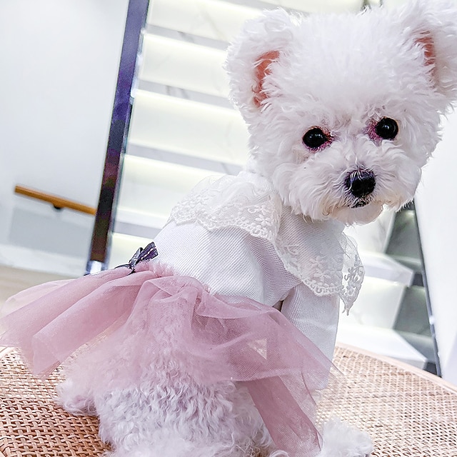 Ropa para perros de loto falda de gasa princesa para perros y gatos ropa de de peluche pequeño y mediano 8996362 – €9.89