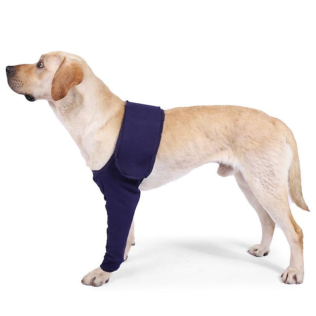  διασυνοριακό νέο προϊόν πόδι σκύλου μετεγχειρητική ανάρρωση σκύλος με μανίκια κατά του γλείψιμου με προμήθειες αποκατάστασης τραυματισμών ποδιών σκύλου