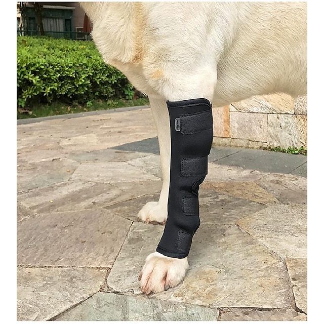  koiran säärisuojat lemmikkieläinten jalkavamma nuolemisen esto nivelen kiinnitys palautushihnat nalle kultainennoutaja jalkakiinnike jalkatuki