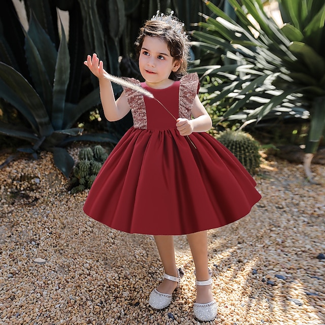 

Toddler Little Girls' Dress Plain Skater Dress Party Daily Patchwork Blue Pink Wine Knee-length Sleeveless Elegant Cute Dresses Children's Day Spring Summer Slim 1-5 Years