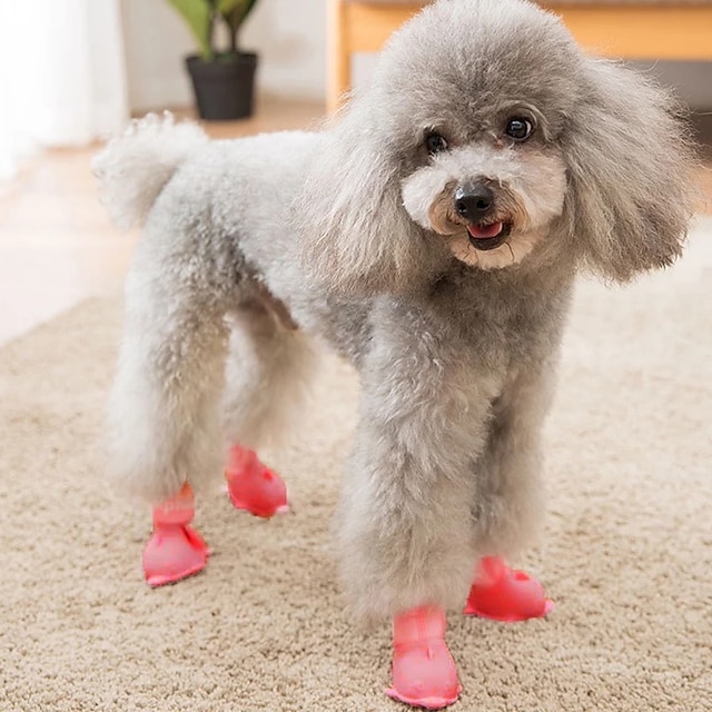 telar lista Lesionarse Zapatos de lluvia para perros y mascotas, zapatos antideslizantes  impermeables para gatos, botas duraderas de goma para calzado al aire  libre, botas de lluvia de silicona suave, suministros para 9006332 2023 –  €12.09