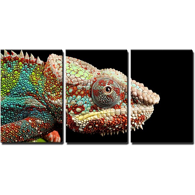 

3 Panels Wall Art Canvas Prints Painting Artwork Picture Canvas Wall Art Chameleon Painting Modern Home Decoration Decor Rolled Canvas No Frame Unframed Unstretched