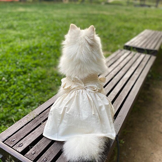 FakMe Adorable Dog Dress Clothes Grid Skirt for Small Medium Pet Dog Princess Dress Clothes 
